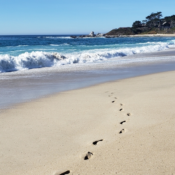 Meet your Posher, Alicia - Picture 15 of 16